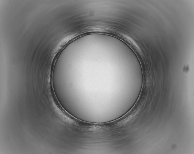 X0000090760938200708172045