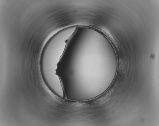 X0000090760939200708172045