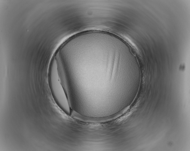 X0000090760940200708172045