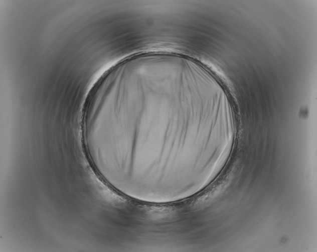 X0000090760941200708172045