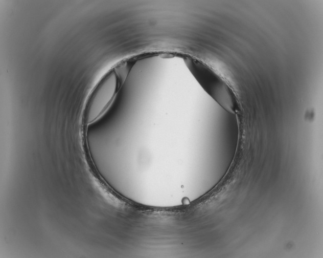 X0000090760942200708172045