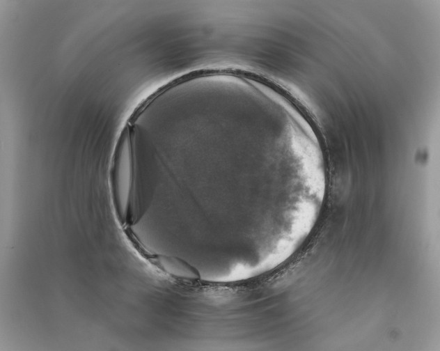 X0000090760943200708172045