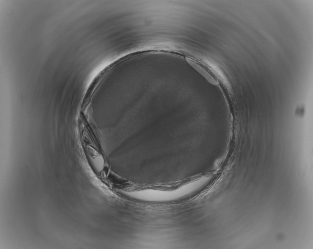 X0000090760944200708172045