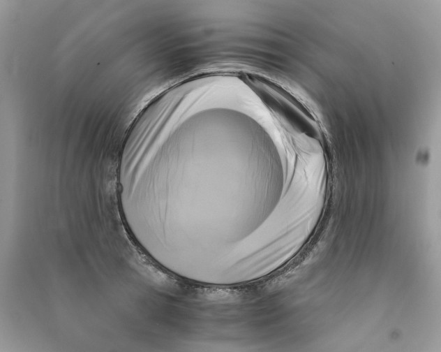 X0000090760945200708172045