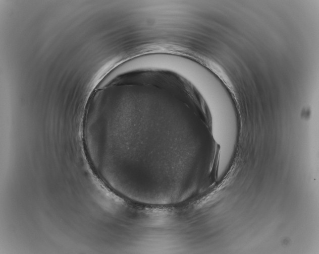 X0000090760946200708172045