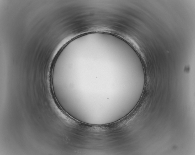 X0000090760947200708172045