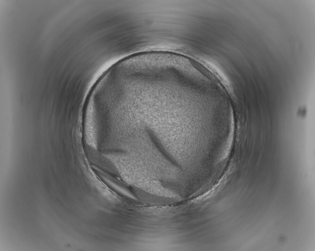 X0000090760948200708172045