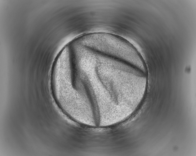 X0000090760949200708172045