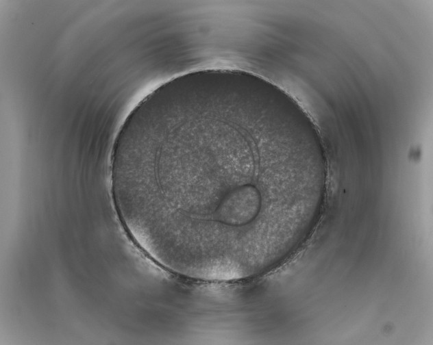 X0000090760950200708172045