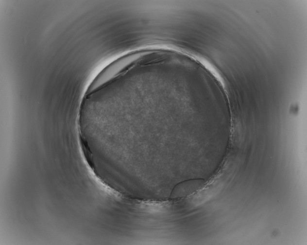 X0000090760951200708172045