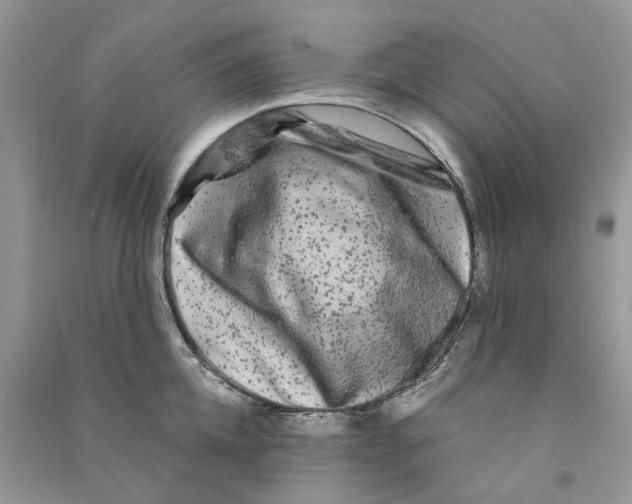 X0000090760952200708172045