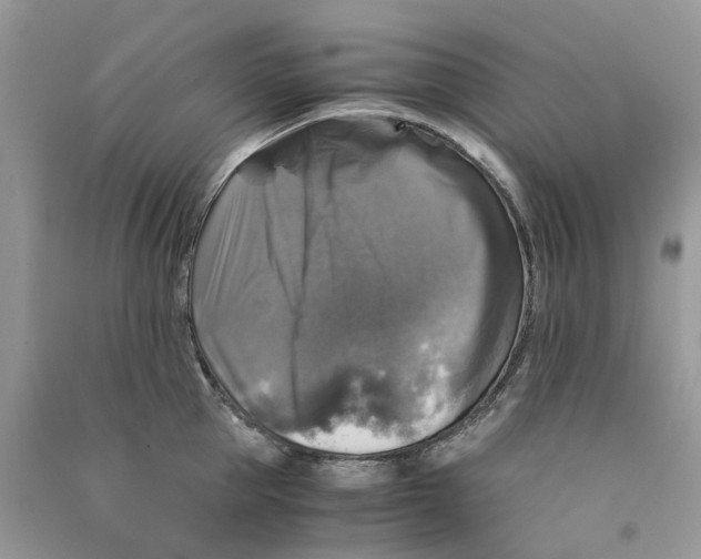 X0000090760953200708172045