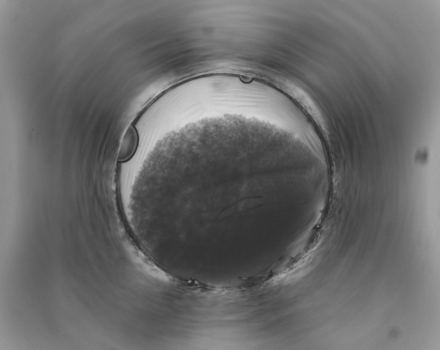 X0000090760954200708172045