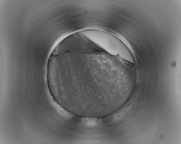 X0000090760955200708172045