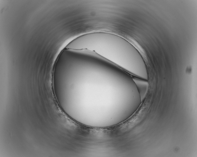 X0000090760956200708172045