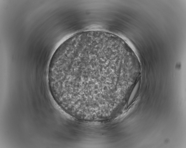 X0000090760957200708172045