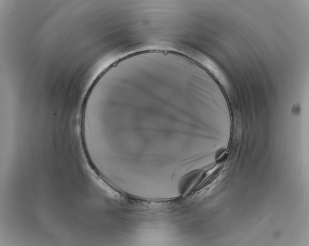 X0000090760958200708172045