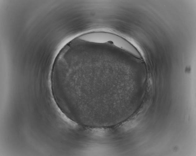 X0000090760959200708172045