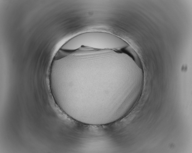 X0000090760960200708172045