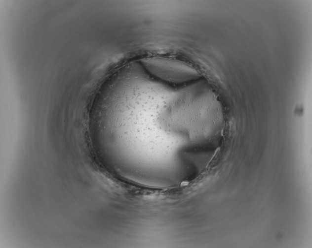 X0000090760961200708172044