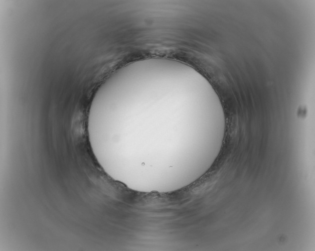 X0000090760962200708172044