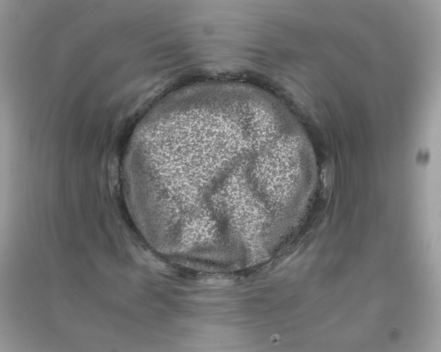 X0000090760963200708172044