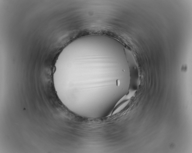 X0000090760964200708172044