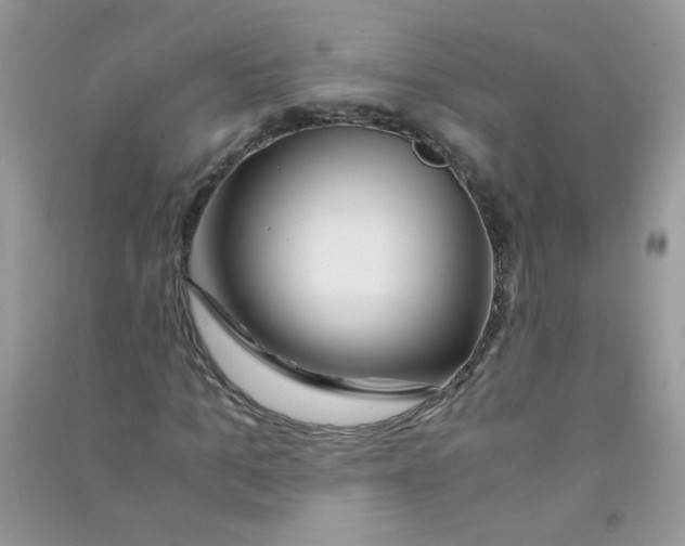 X0000090760965200708172044