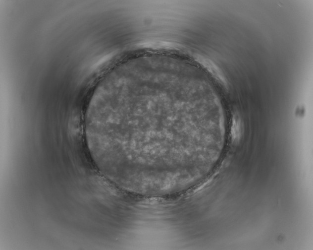 X0000090760966200708172044