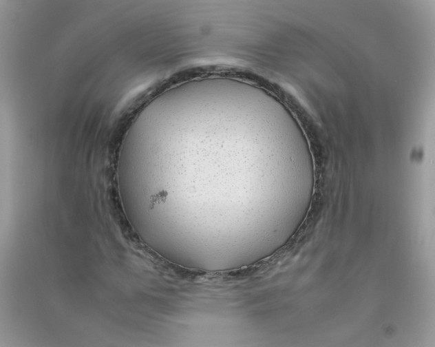 X0000090760967200708172044