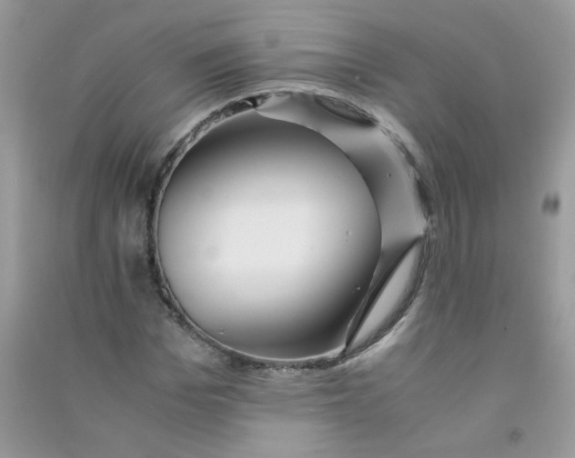 X0000090760969200708172044