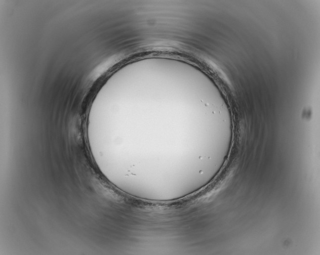 X0000090760970200708172044