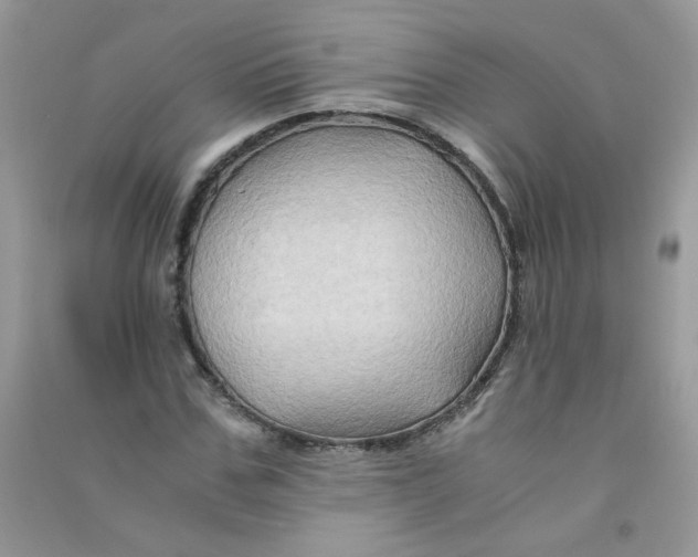 X0000090760971200708172044