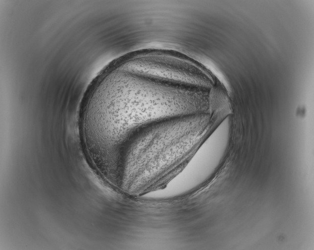 X0000090760972200708172044