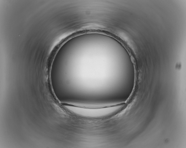 X0000090760973200708172044