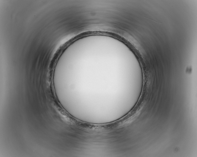 X0000090760974200708172044