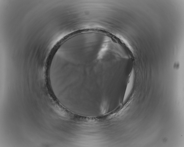 X0000090760975200708172044