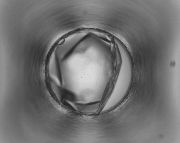 X0000090760976200708172044