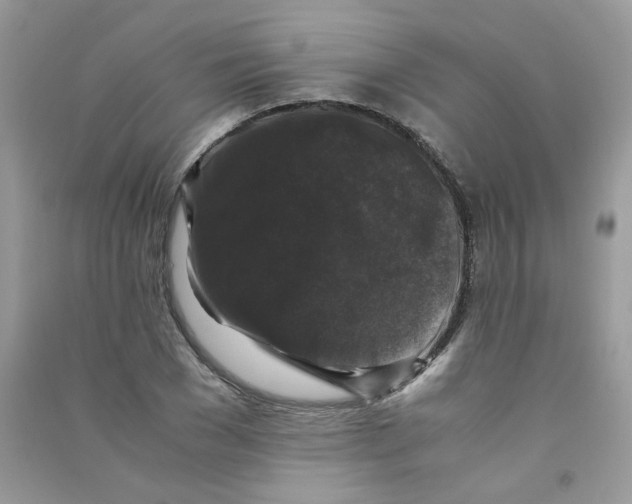 X0000090760977200708172044