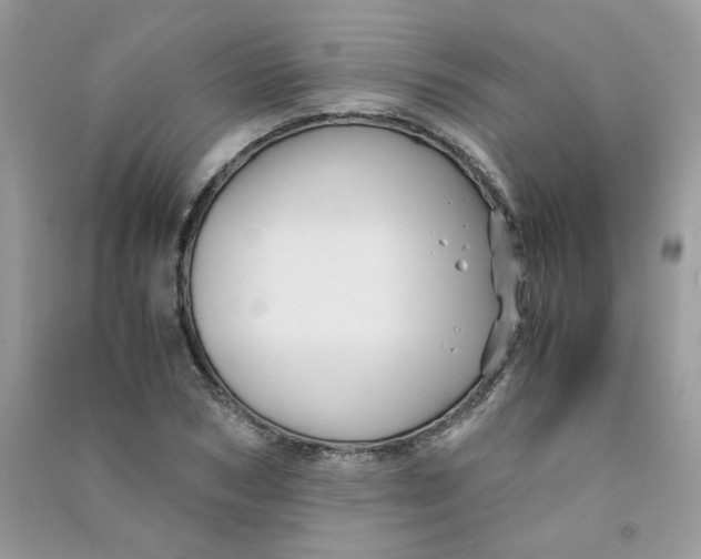 X0000090760978200708172044