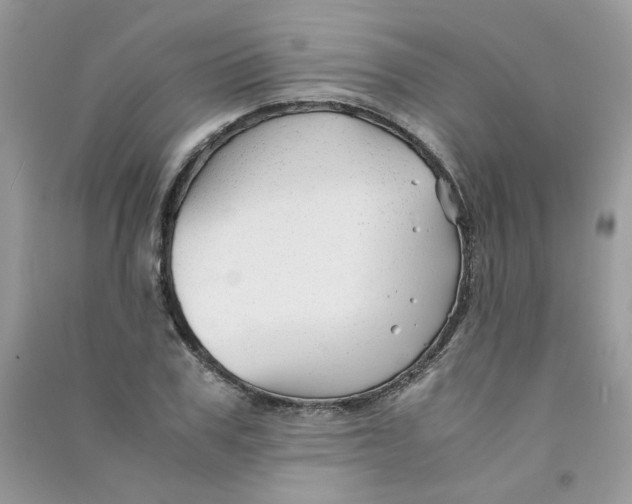 X0000090760979200708172044