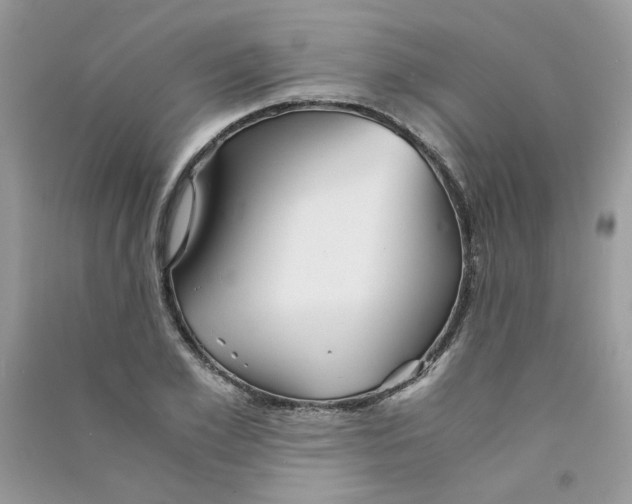 X0000090760981200708172044