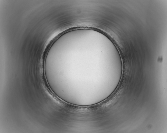 X0000090760982200708172044