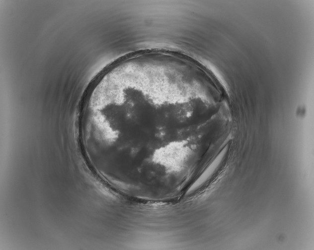 X0000090760983200708172044