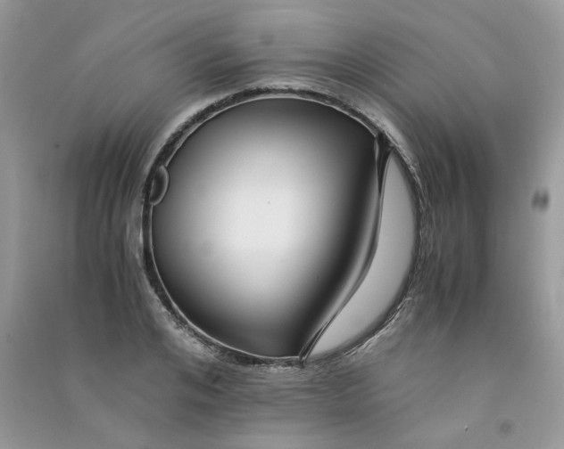 X0000090760984200708172044