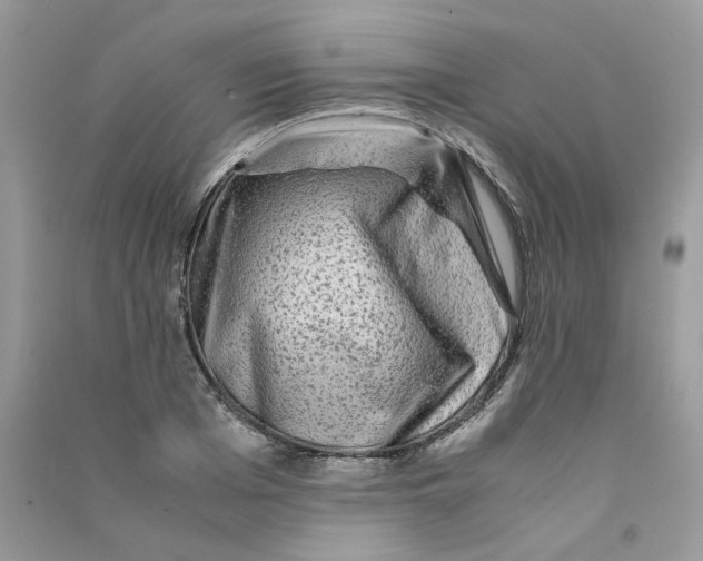 X0000090760985200708172044