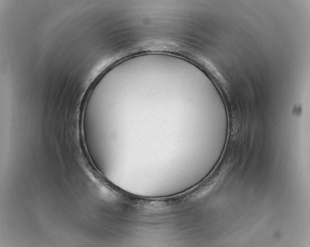 X0000090760986200708172044