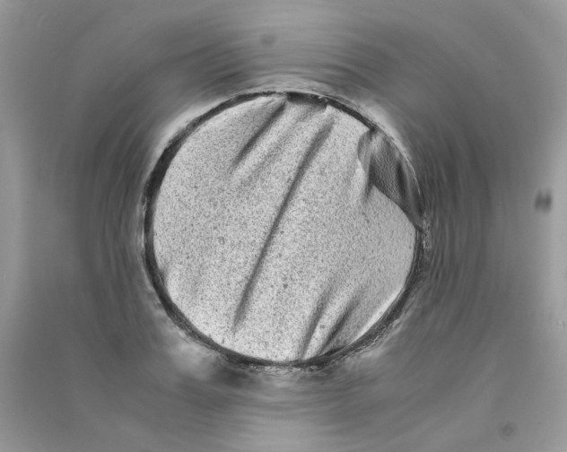 X0000090760987200708172044