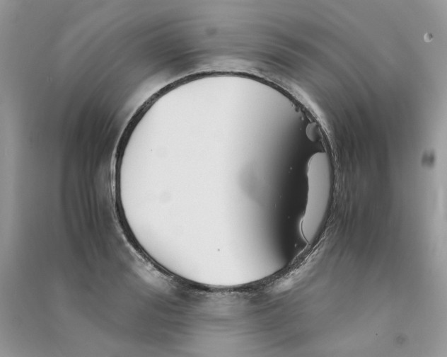 X0000090760988200708172044