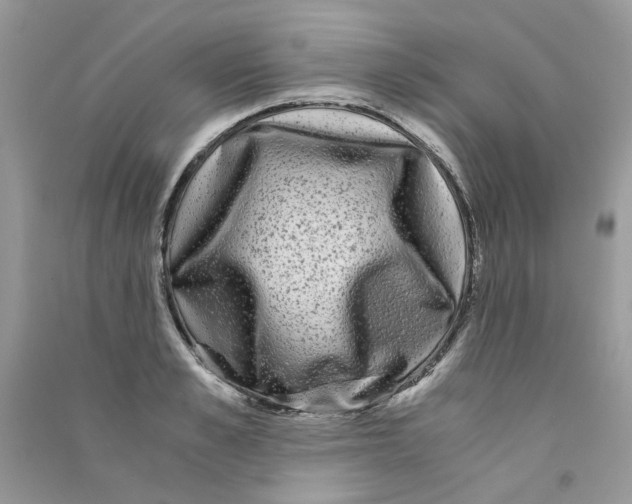 X0000090760989200708172044